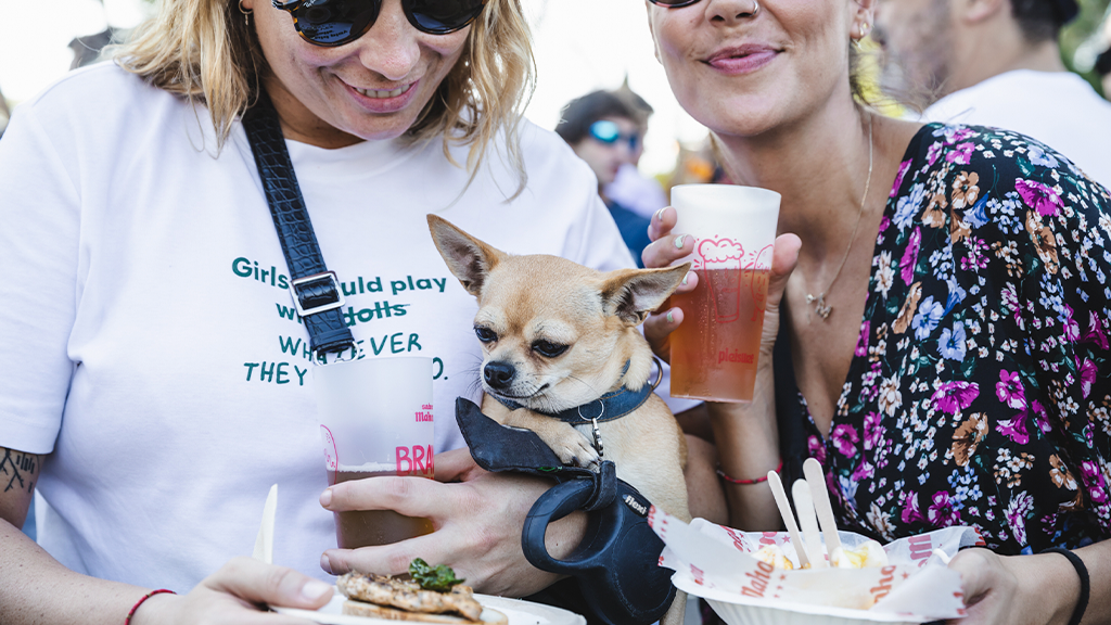 Photo of Pleisure 11