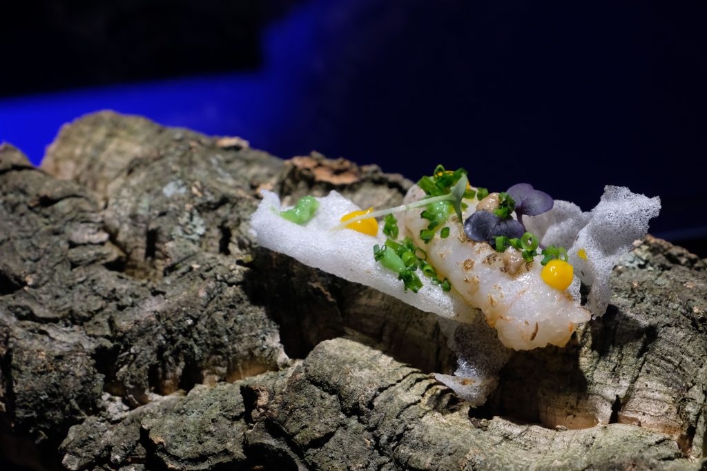 Foto de Mas de Sant Lleí 5