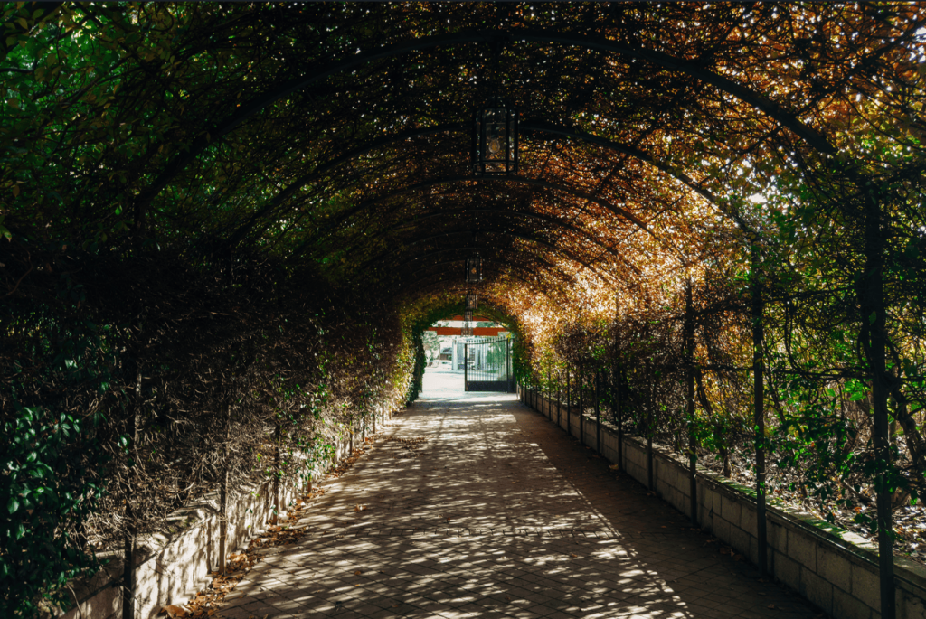 Foto de Faunia Eventos 1