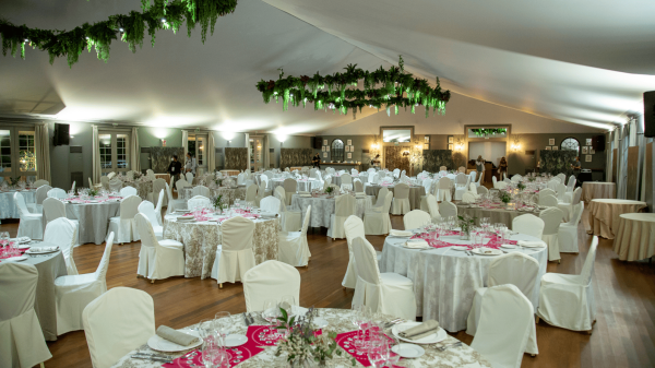 Photo of Faunia Events 3