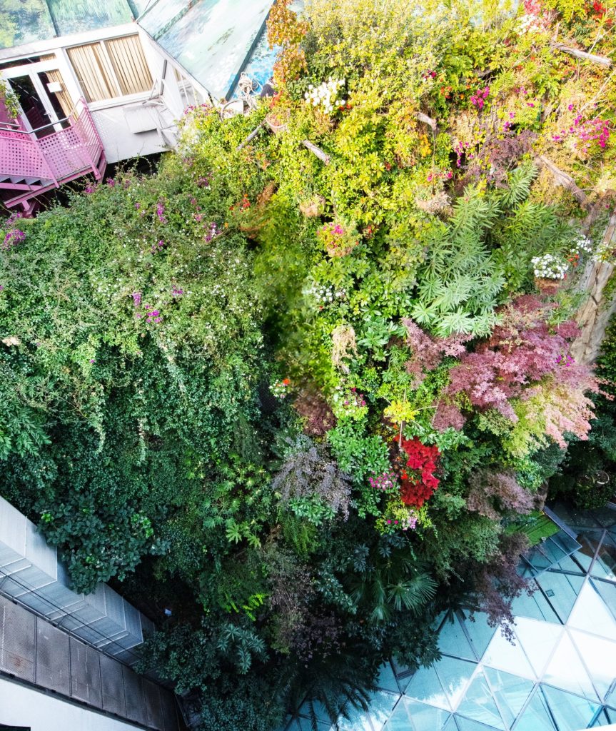 Foto de Inhala Hotel Garden 19