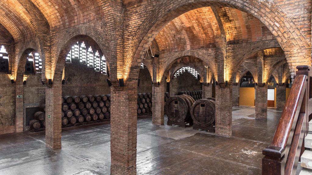 Photo of Cavas Codorníu 5