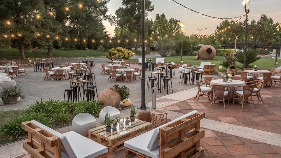 Photo of Cavas Codorníu 7