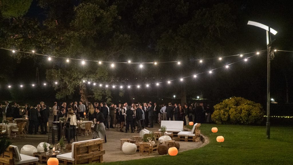 Photo of Cavas Codorníu 15