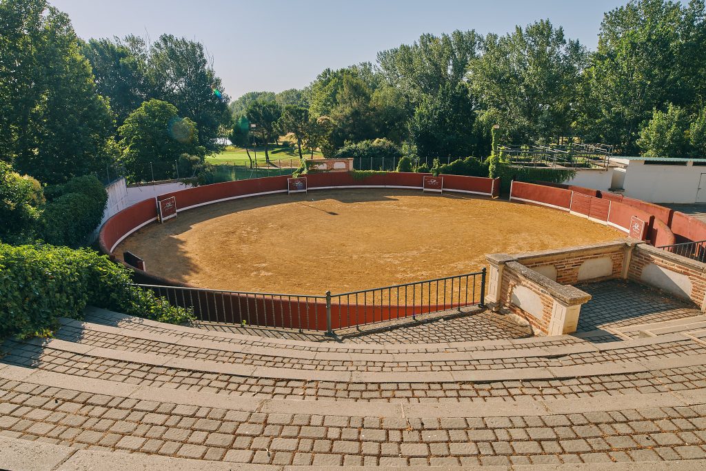 Foto de Grupo Negralejo 17