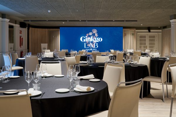 Foto de VP Madroño 3