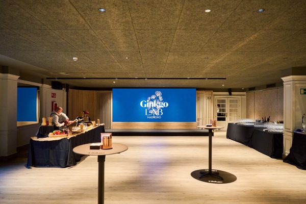 Foto de VP Madroño 2