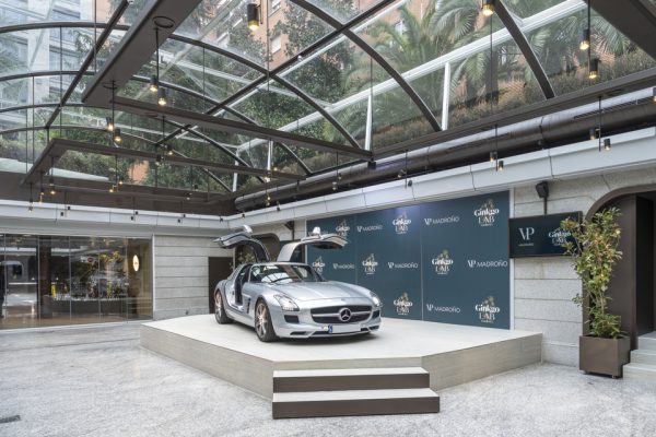 Foto de VP Madroño 1