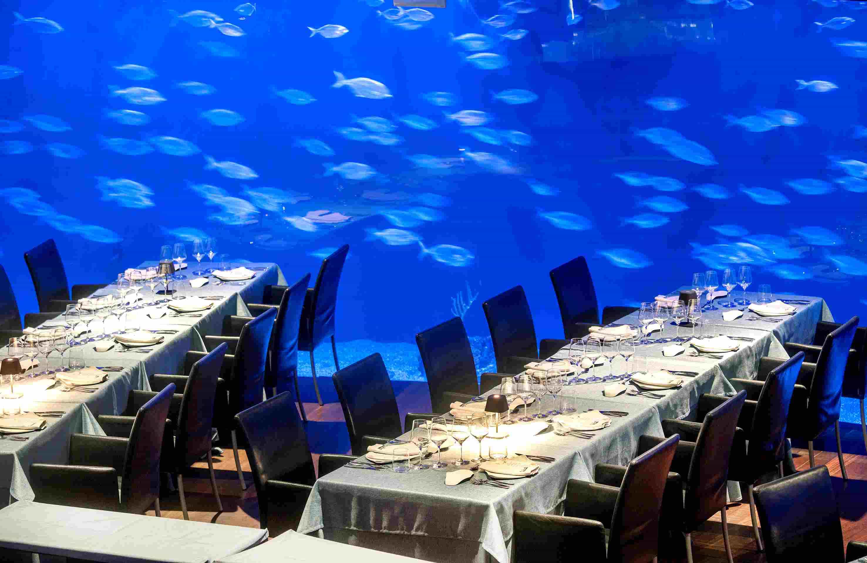 Photo of Oceanogràfic de Valencia 11