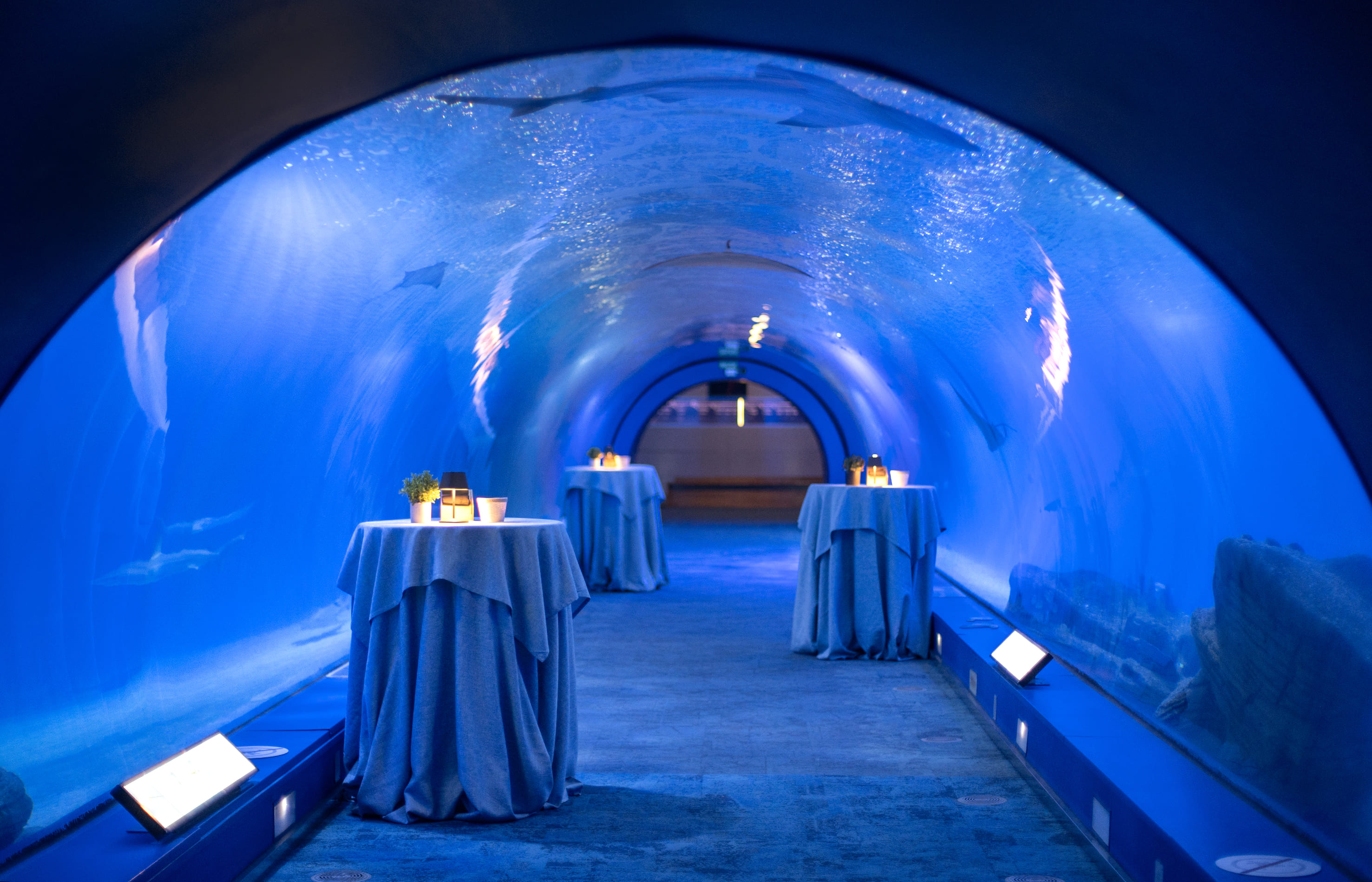 Photo of Oceanogràfic de Valencia 8