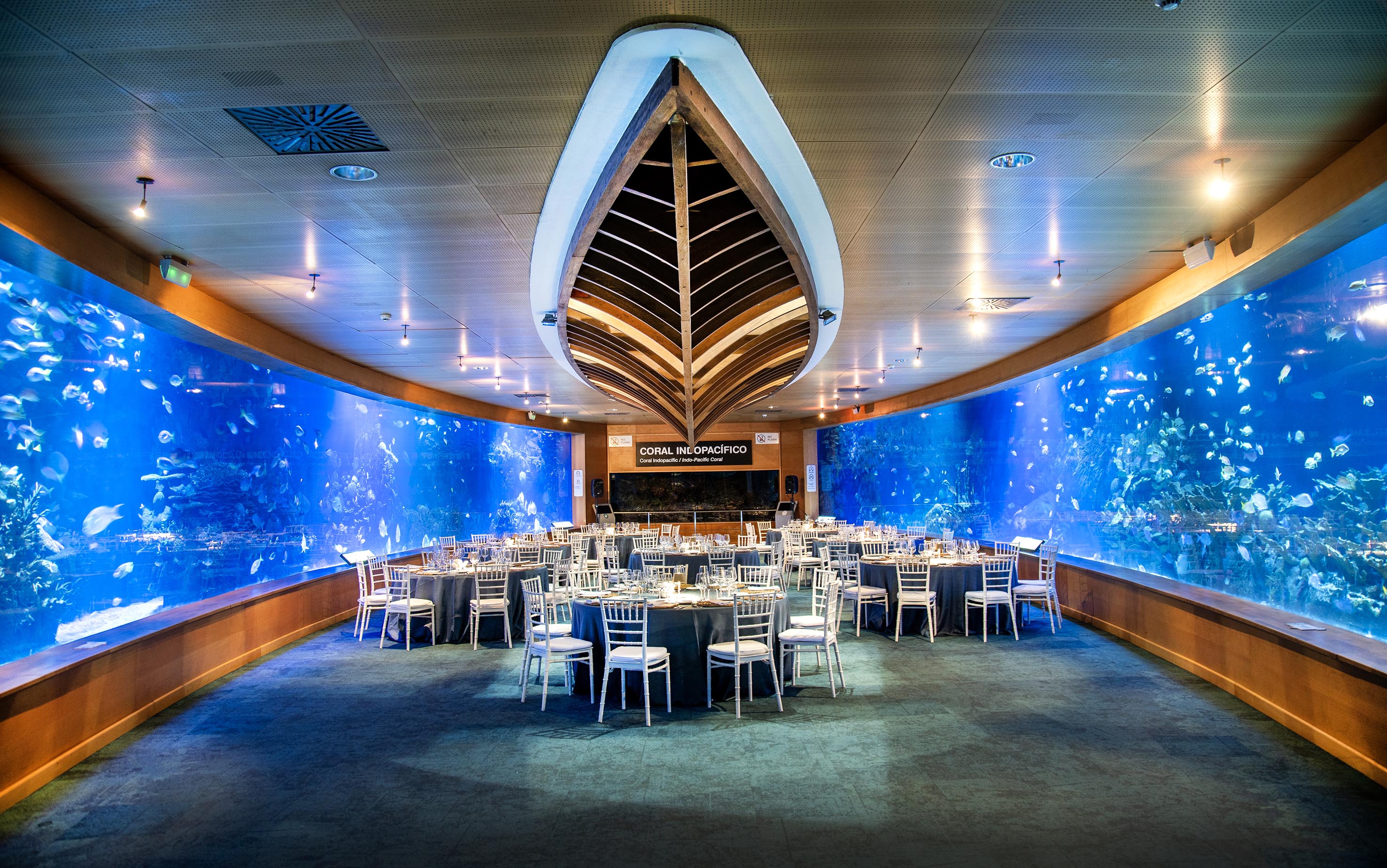 Photo of Oceanogràfic de Valencia 10