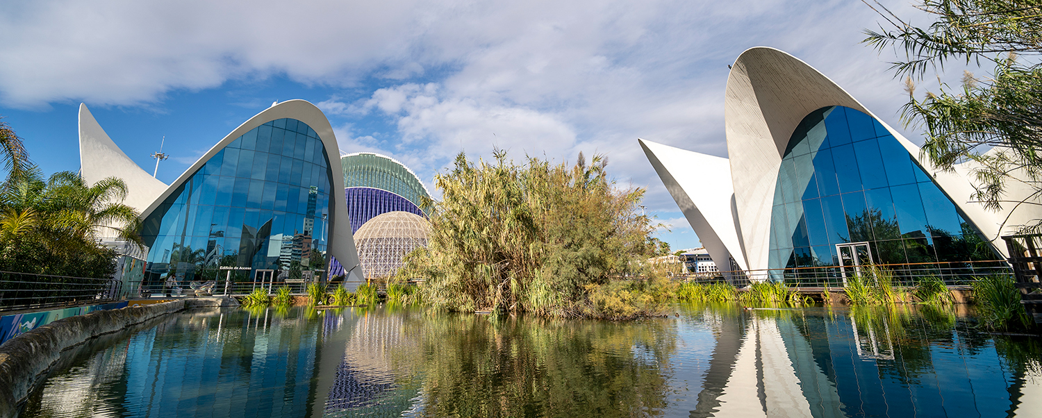 Image of Oceanogràfic de Valencia