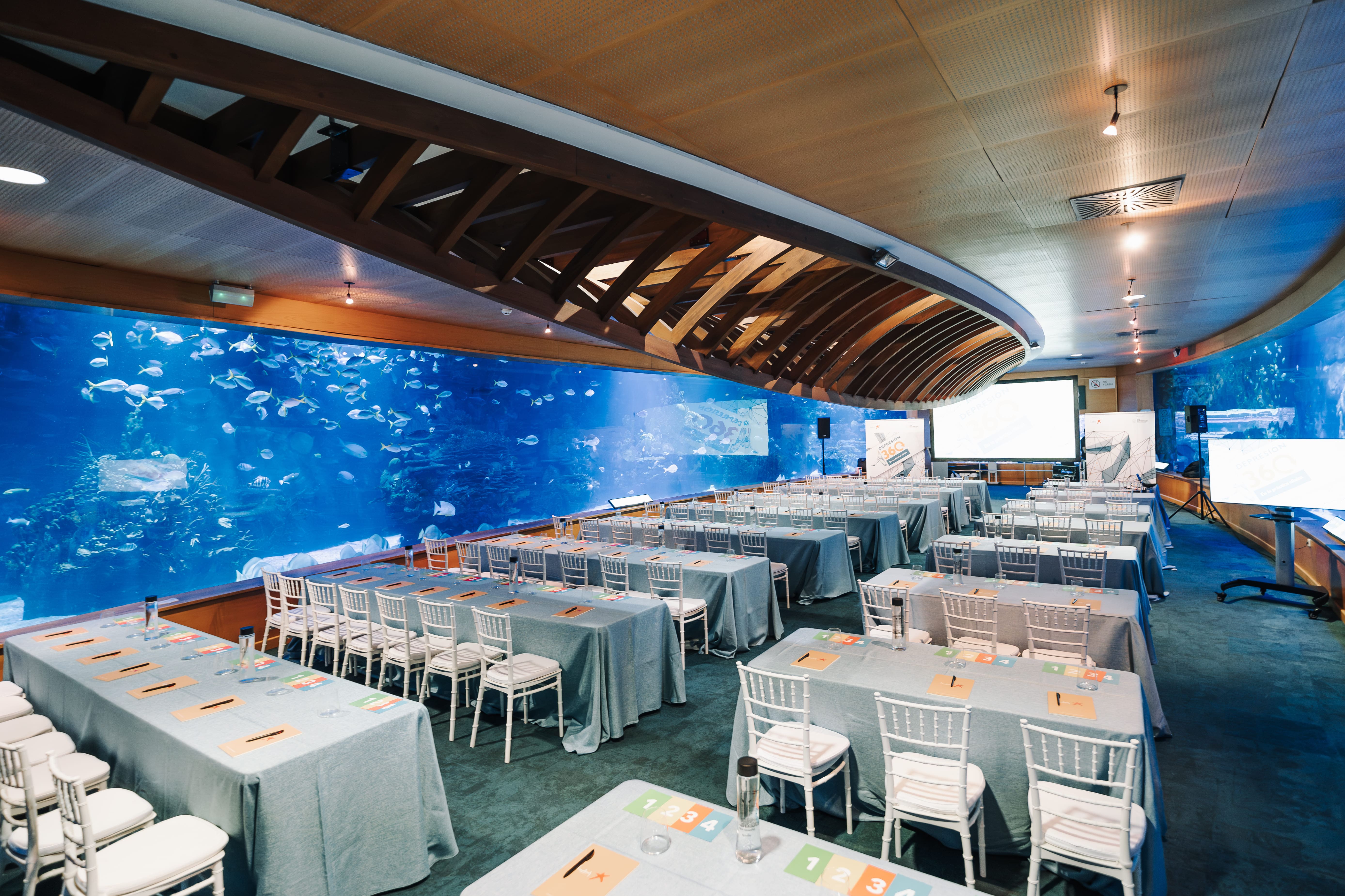 Photo of Oceanogràfic de Valencia 2