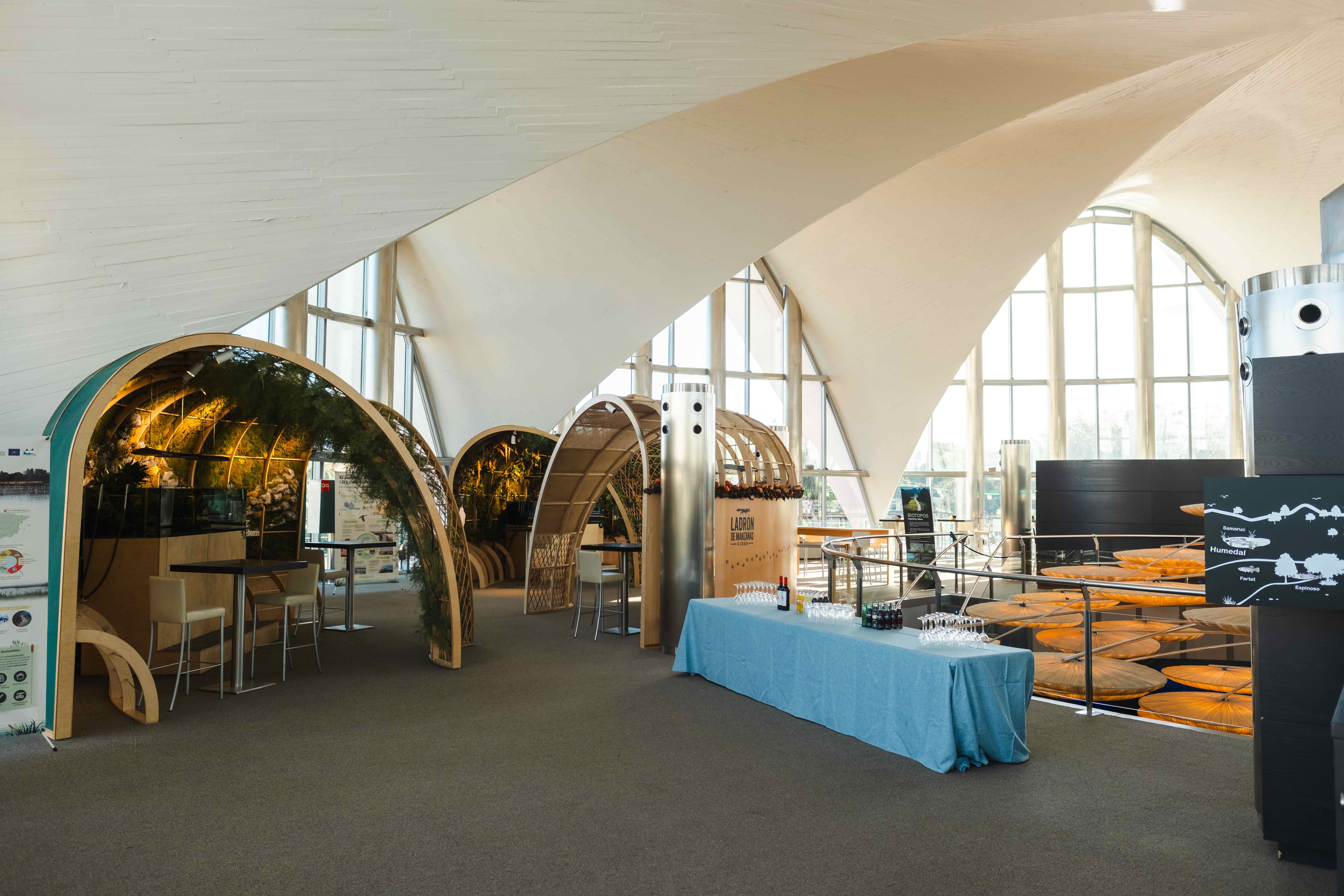 Photo of Oceanogràfic de Valencia 15