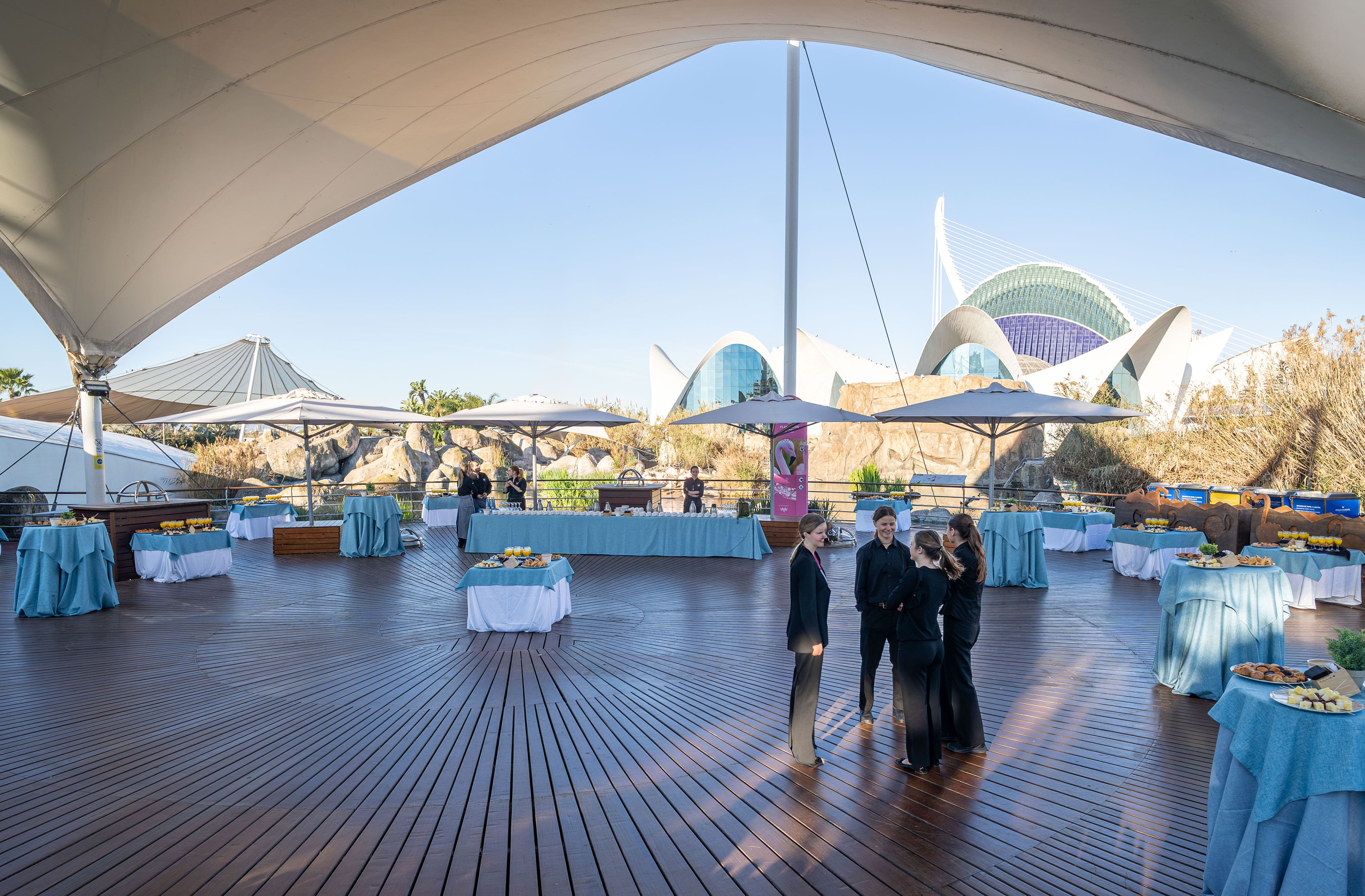 Photo of Oceanogràfic de Valencia 12