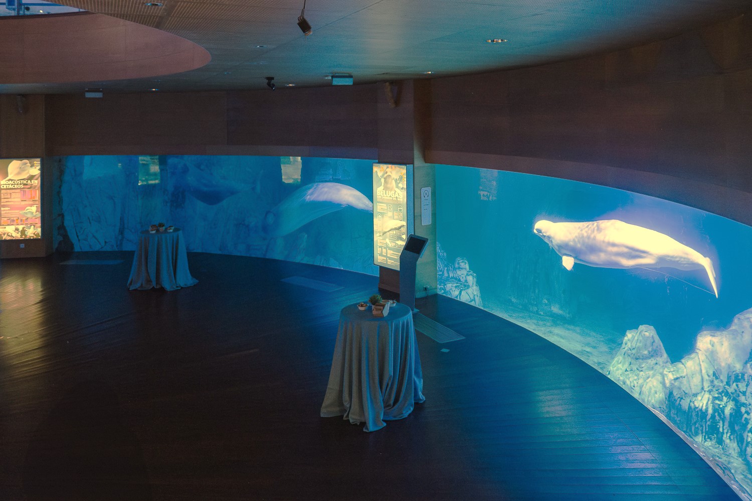 Photo of Oceanogràfic de Valencia 13