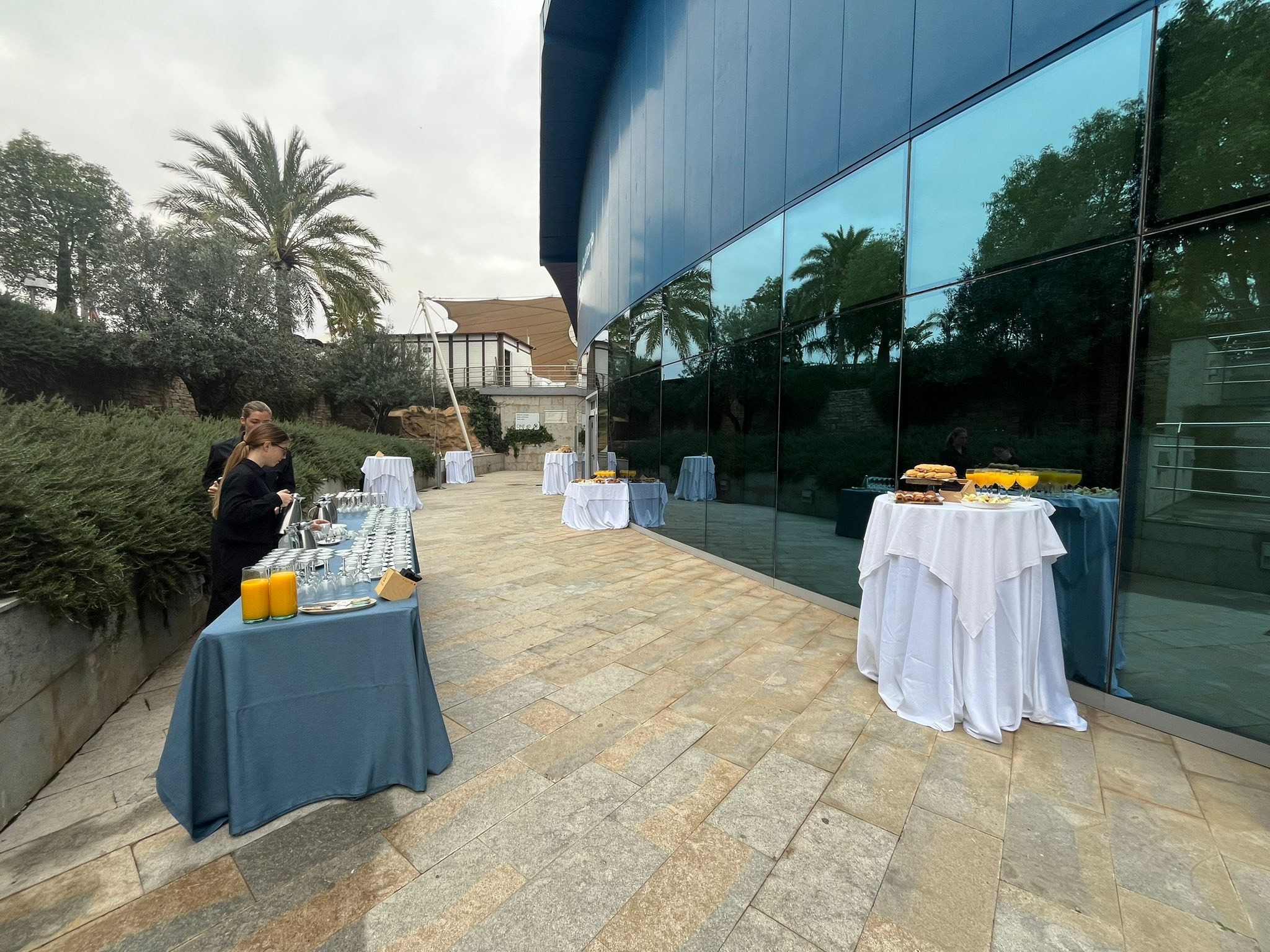 Photo of Oceanogràfic de Valencia 16