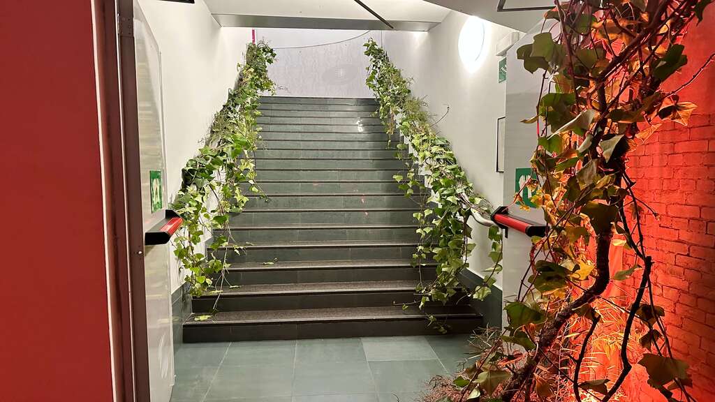 Photo of Callao City Lights/Cines Callao 42