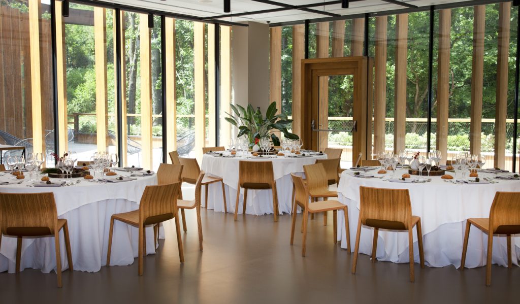 Photo of Hotel Arima 13