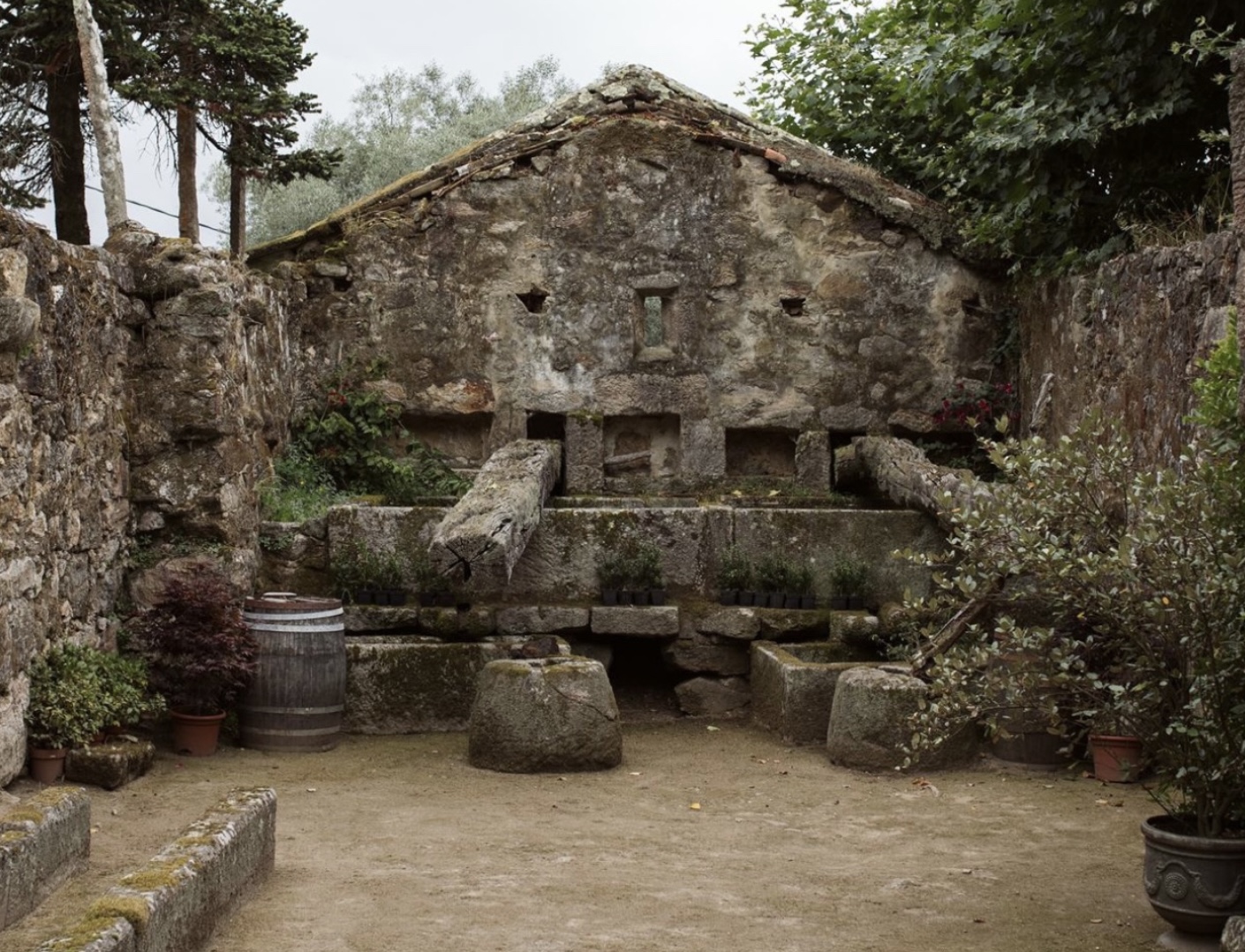 Photo of Pazo de Cea 13