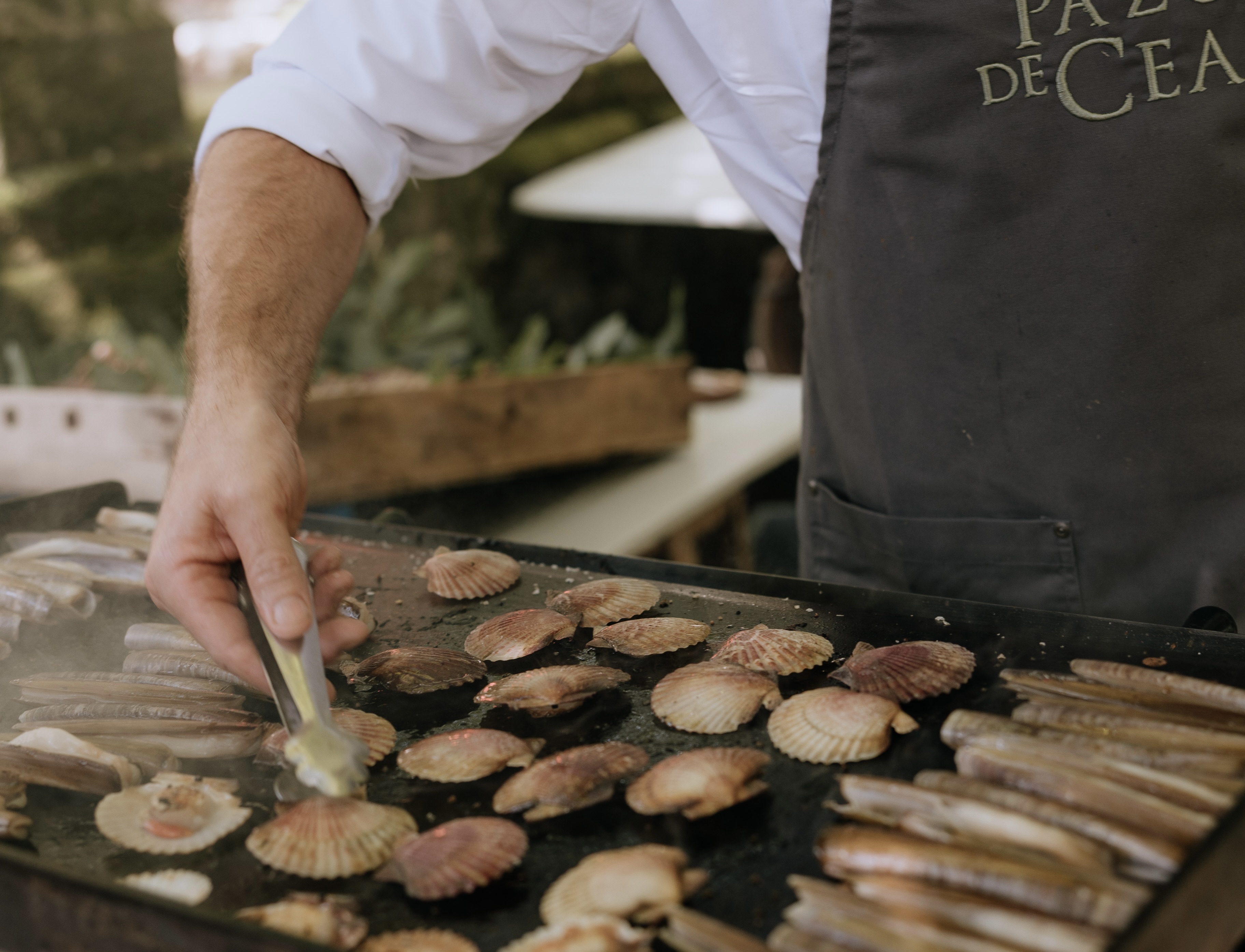 Photo of Pazo de Cea 14