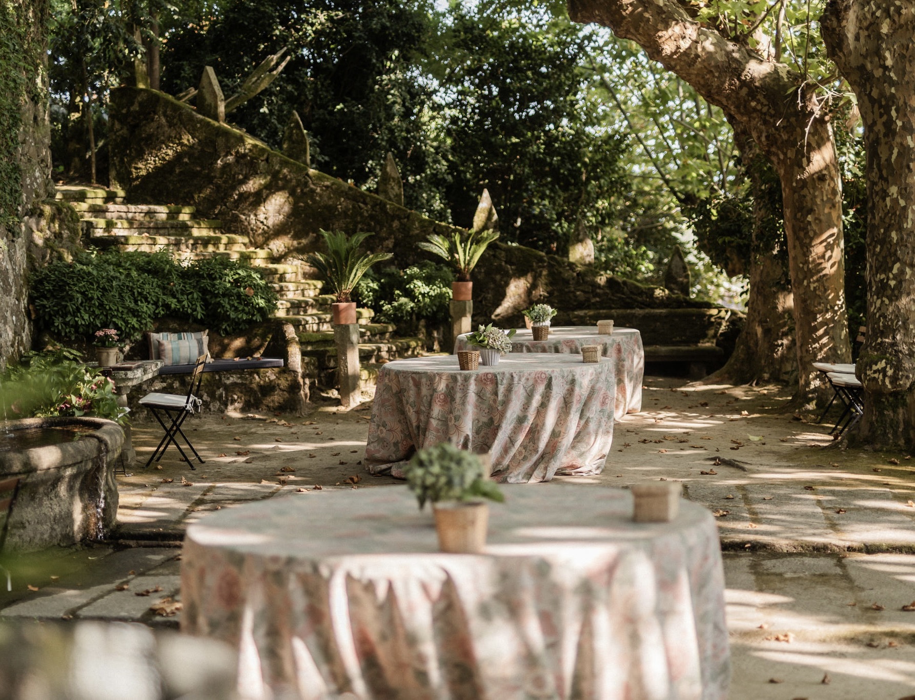 Photo of Pazo de Cea 2