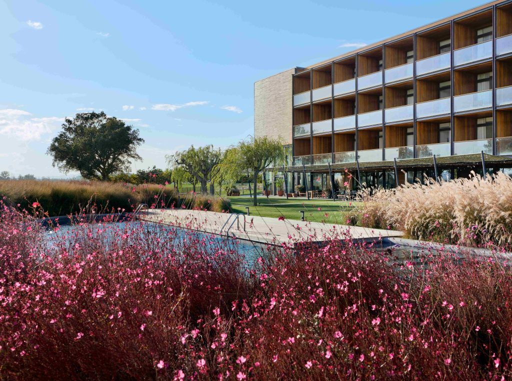 Image of Hotel Terraverda