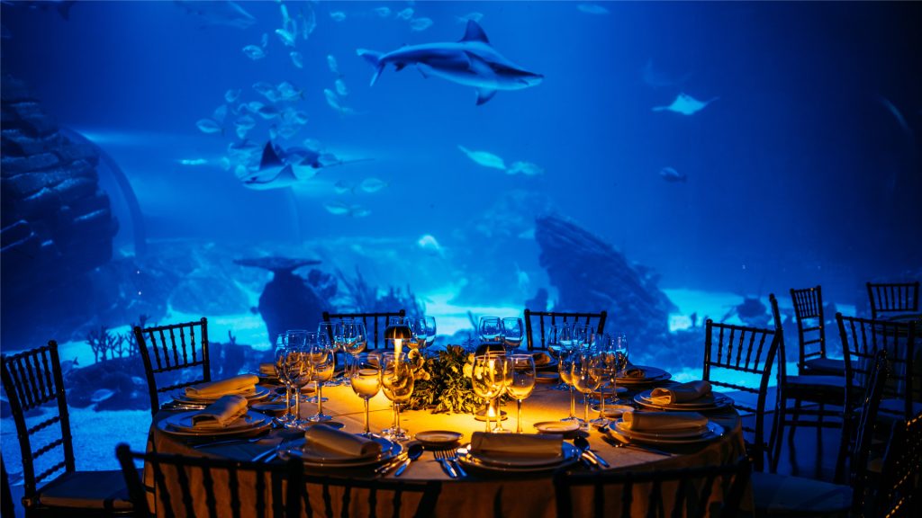 Photo of MICE CATERING 28