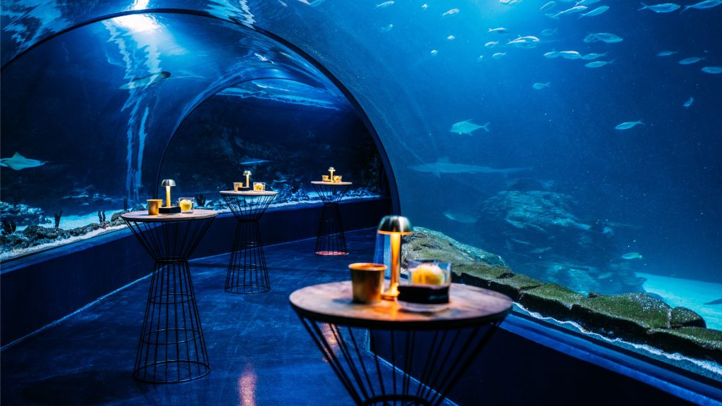 Photo of MICE CATERING 27