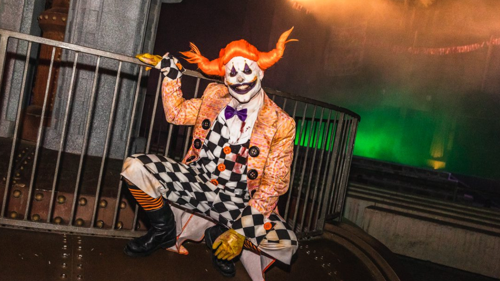 Photo of qelart entertainment 6